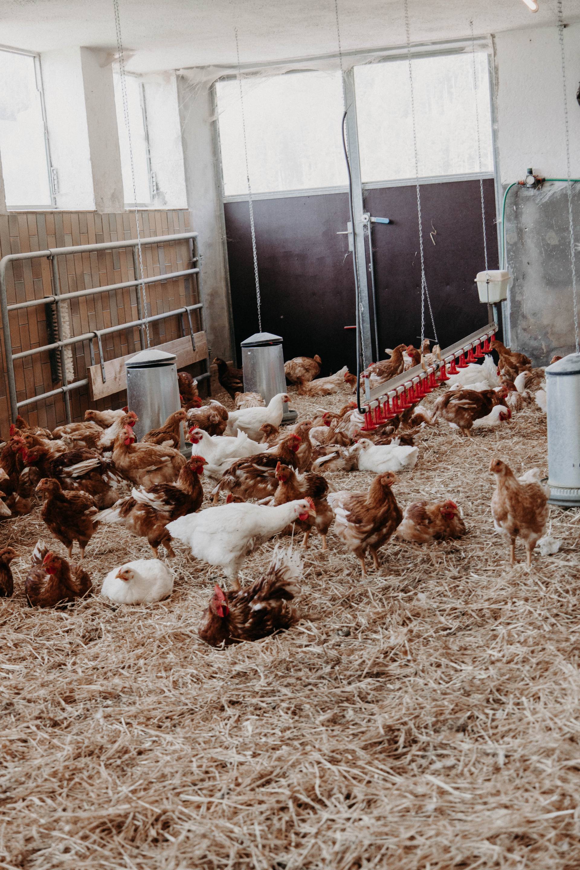 Naturhotel Forsthofgut mit Glockenturm