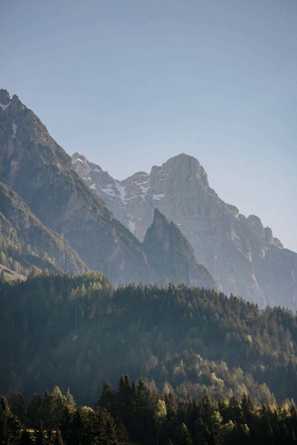 Summer in the Salzburger Land - Mountain Landscape with Firs
