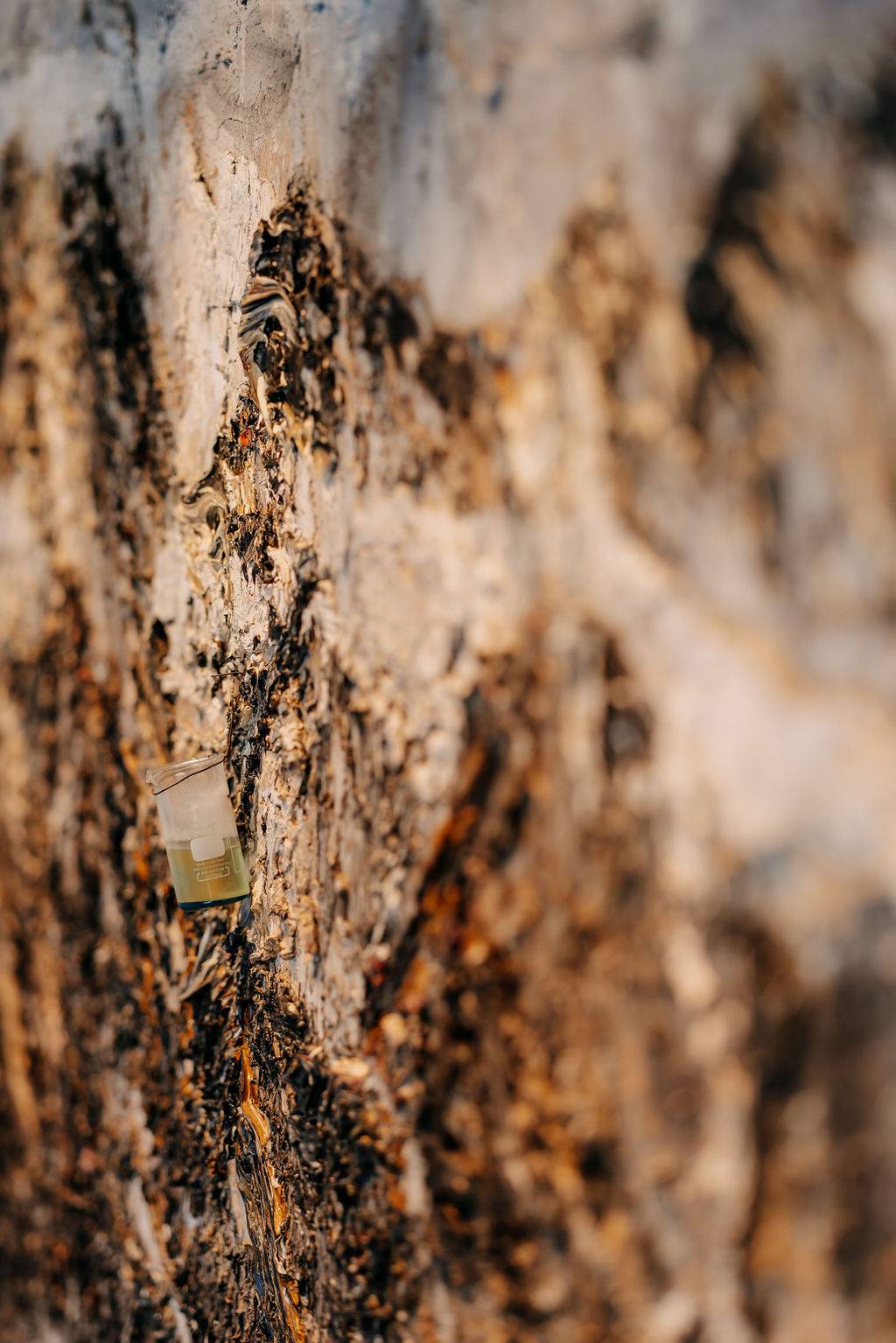 Gemütliche Lounge-Möbel im Naturhotel Forsthofgut