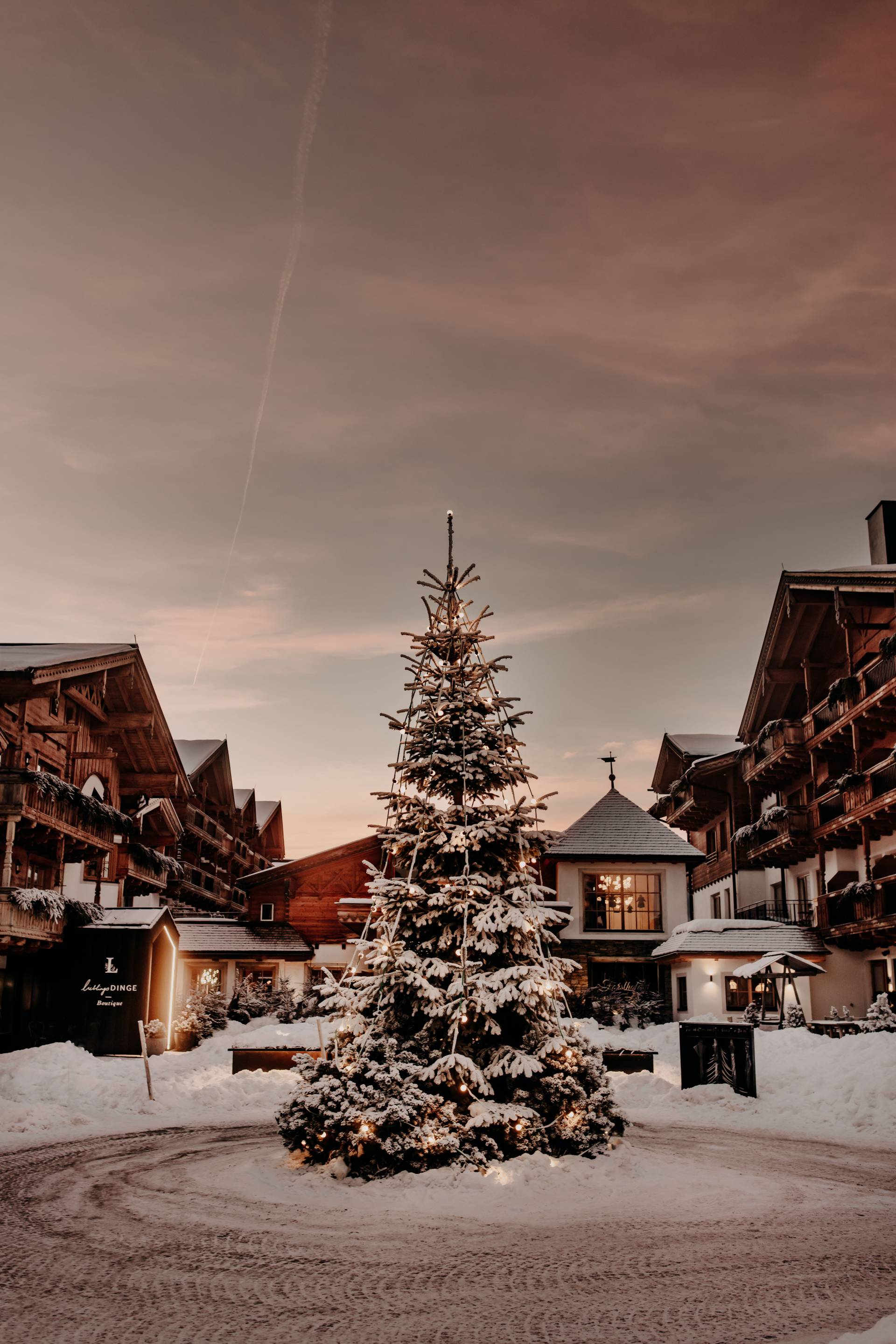 waldLIEBE Nachhaltigkeitsprojekt des Naturhotel Forsthofgut