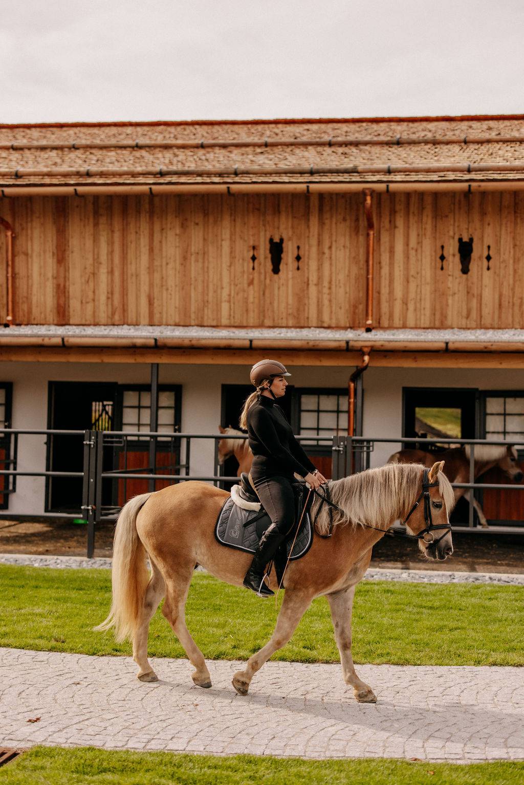 rau sitzt auf einem Haflinger mit dem Reitstall im Hintergrund