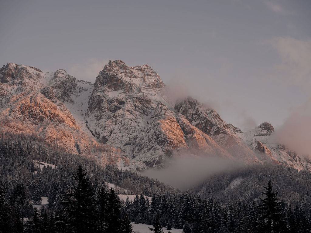 Sonne genießen am Forsthofgut in Leogang