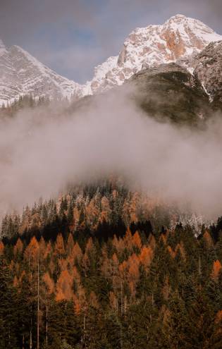 11:00 Uhr Der Berg ruft! - Naturhotel Forsthofgut