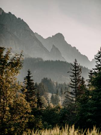 Gutschein des Naturhotel Forsthofgut
