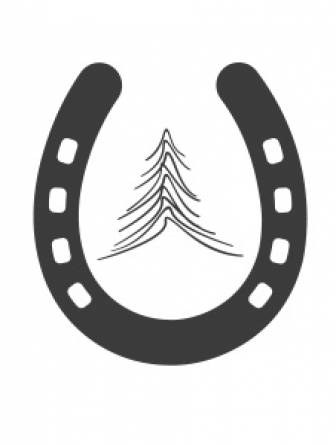 Reiten in Leogang - Frau striegelt Pferd