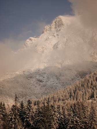 waldLIEBE sustainability project of the Naturhotel Forsthofgut