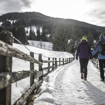 Winter wald - Naturhotel Forsthofgut