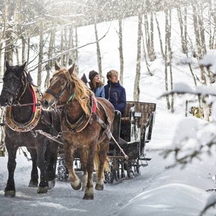 Romantic carriage ride - Naturhotel Forsthofgut