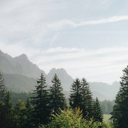 In the heart of nature - Naturhotel Forsthofgut