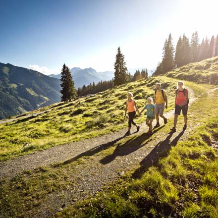 Hiking trails for the whole family - Naturhotel Forsthofgut