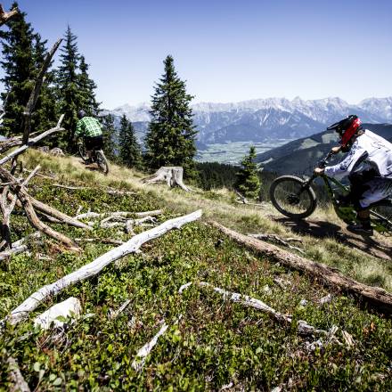 Bikepark Leogang - Naturhotel Forsthofgut