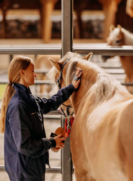 Reiten in Leogang - Frau striegelt Pferd