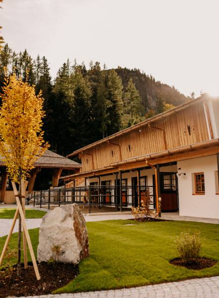 Der gepflegte Innenhof unseres Reitstalls mit grünem Rasen, Zierbäumen und Naturstein. Dahinter die Reithalle mit Holzfassade vor herbstlichem Wald und Bergkulisse.