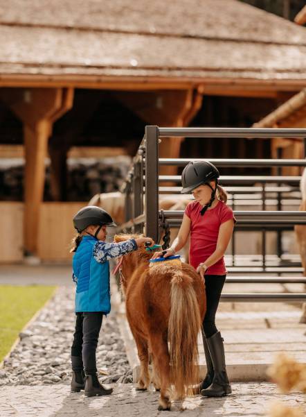 Zwei Mädchen striegeln ein Pony