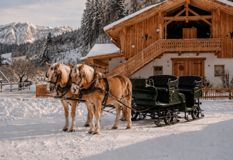 Horse-drawn carriage ride
