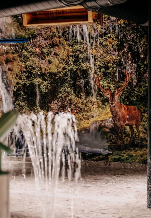 Wasserspiele im waldSPA für Kinder