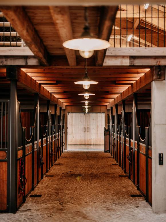 Gastpferdeboxen im Reitstall Forsthofgut