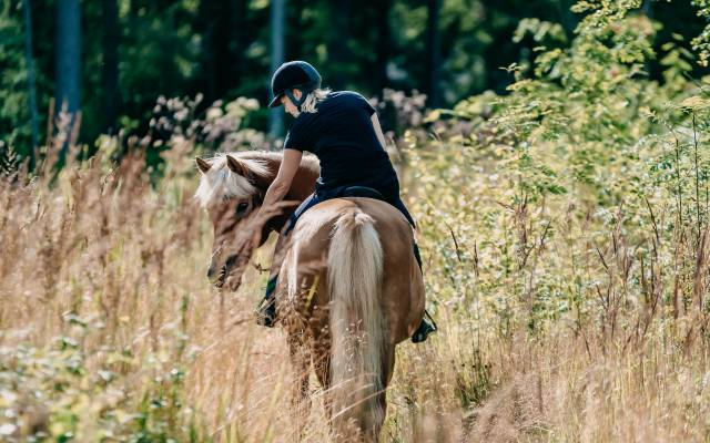 Frau reitet auf Pferd in der Natur