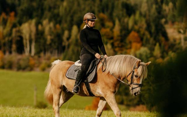 Fotoshooting mit Pferd - Naturhotel Forsthofgut