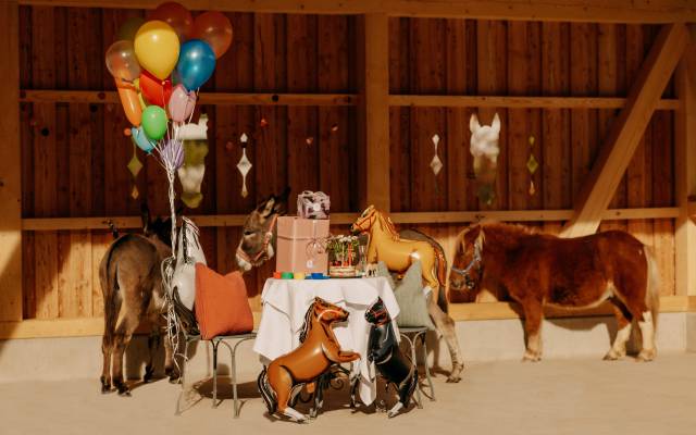 Colorful pony birthday - Naturhotel Forsthofgut