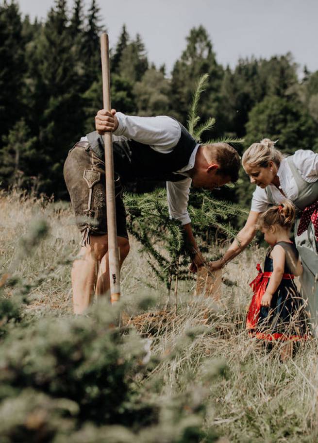 Baumpatenschaft „waldLIEBE“