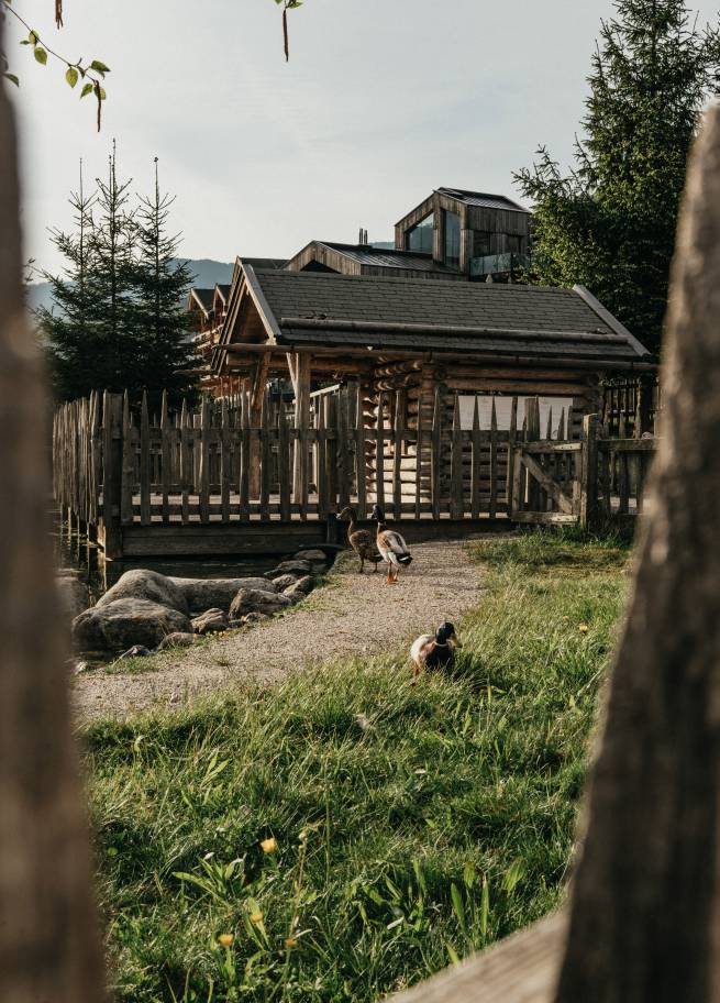 Streichelzoo im Naturhotel Forsthofgut - Naturhotel Forsthofgut