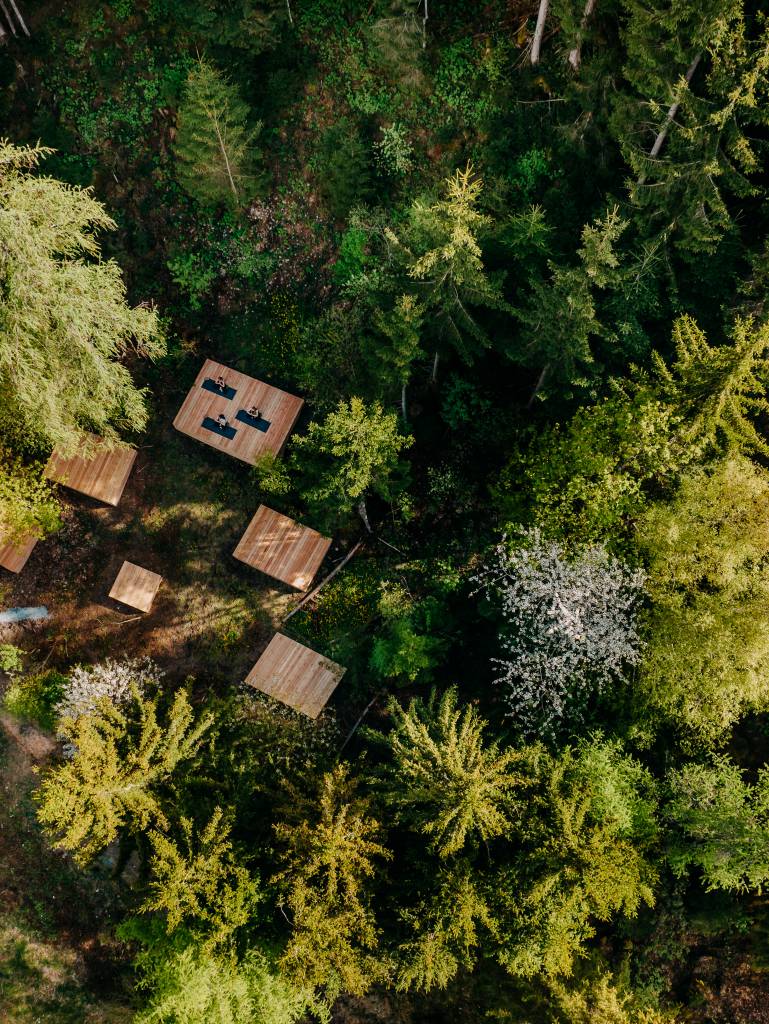 Yoga Plattformen mitten im Wald
