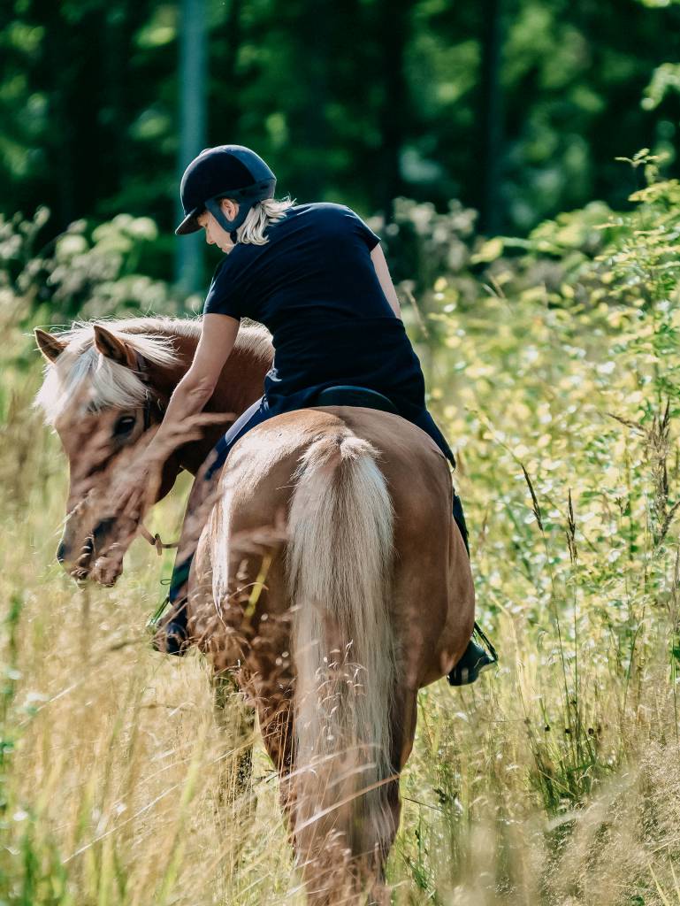 Fotoshooting mit Pferd