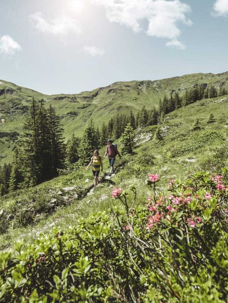 Hiking in the Schwarzleo Valley - Naturhotel Forsthofgut