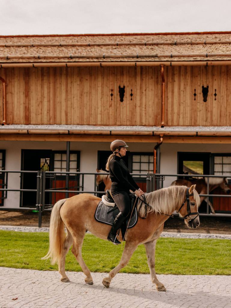rau sitzt auf einem Haflinger mit dem Reitstall im Hintergrund