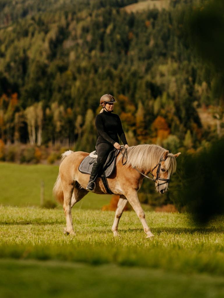 Fotoshooting mit Pferd