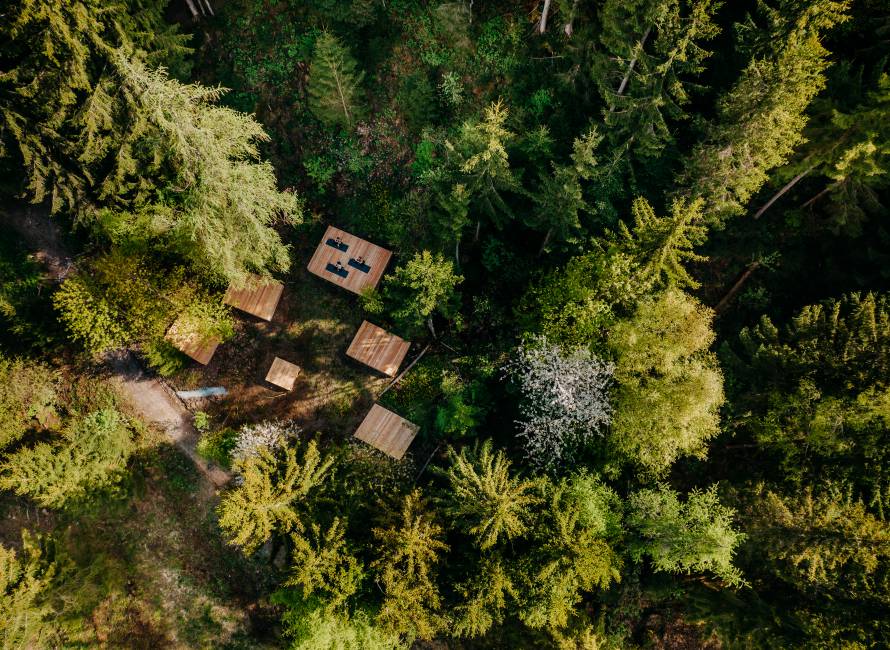 Yoga Plattformen im Wald