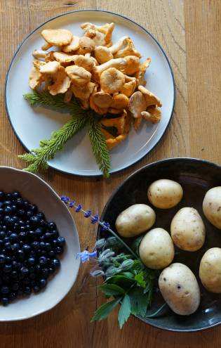 Kartoffeln, Pfifferlinge und Schwarze Johannisbeeren