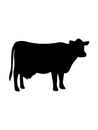 Illustrated Cow