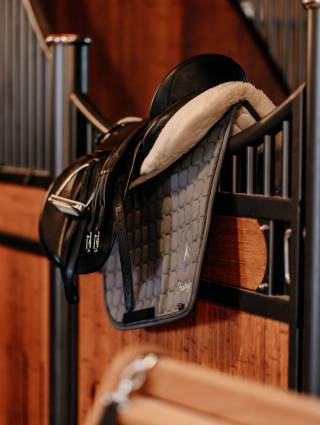 Horse saddle hangs on horse box