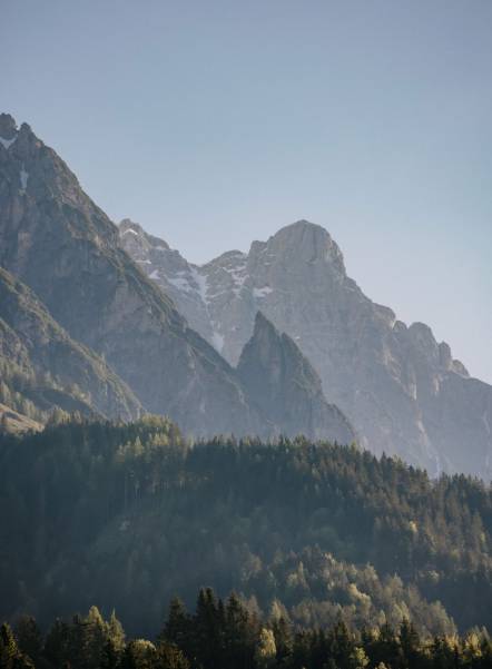 Summer in the Salzburger Land - Mountain Landscape with Firs