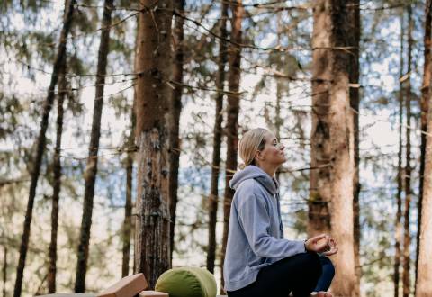 Experience yoga in the forest