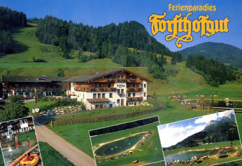 Leaflet of the Forsthofgut 1992-1994