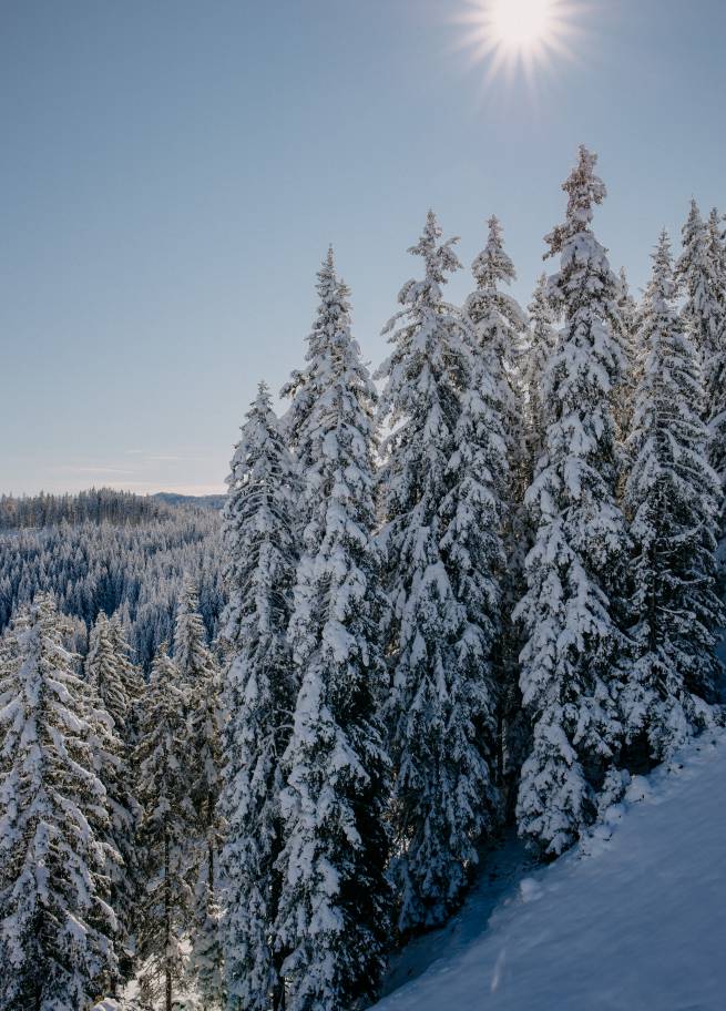 Skifahrer Winterurlaub Österreich Leogang