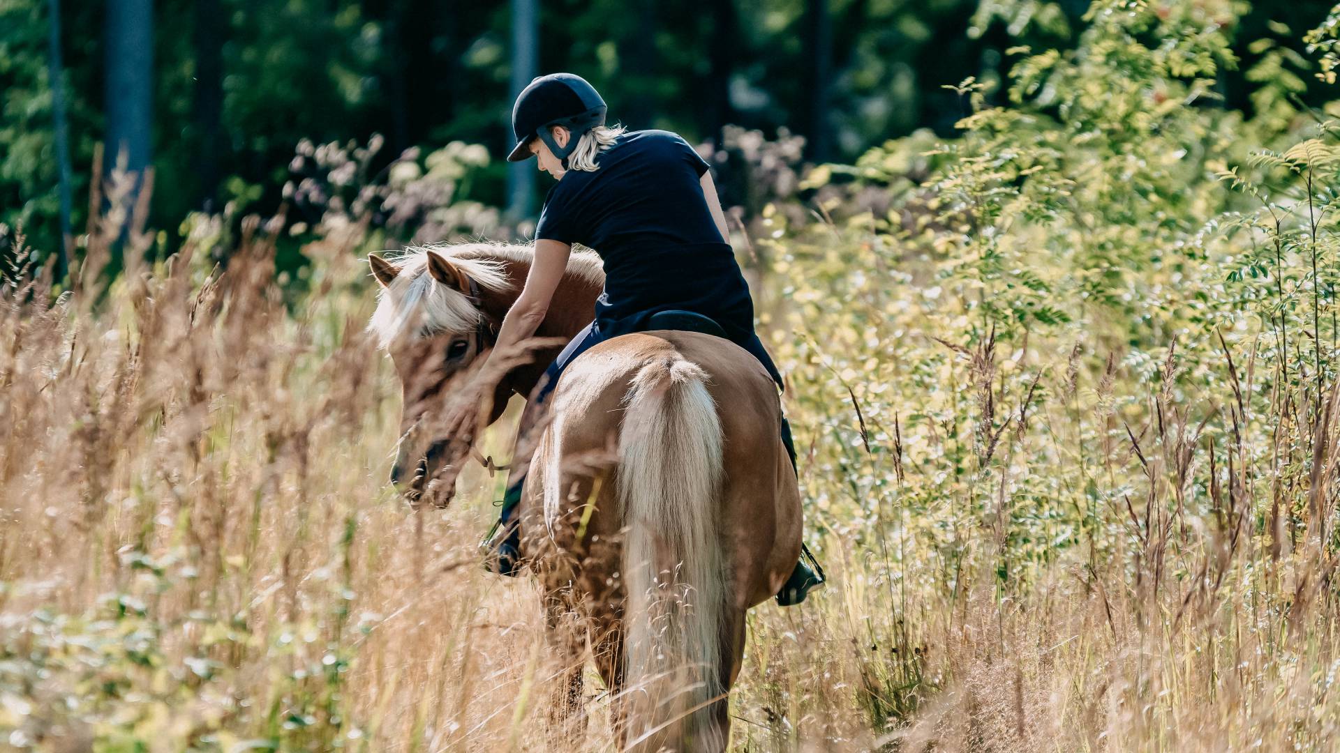 Frau reitet auf Pferd in der Natur