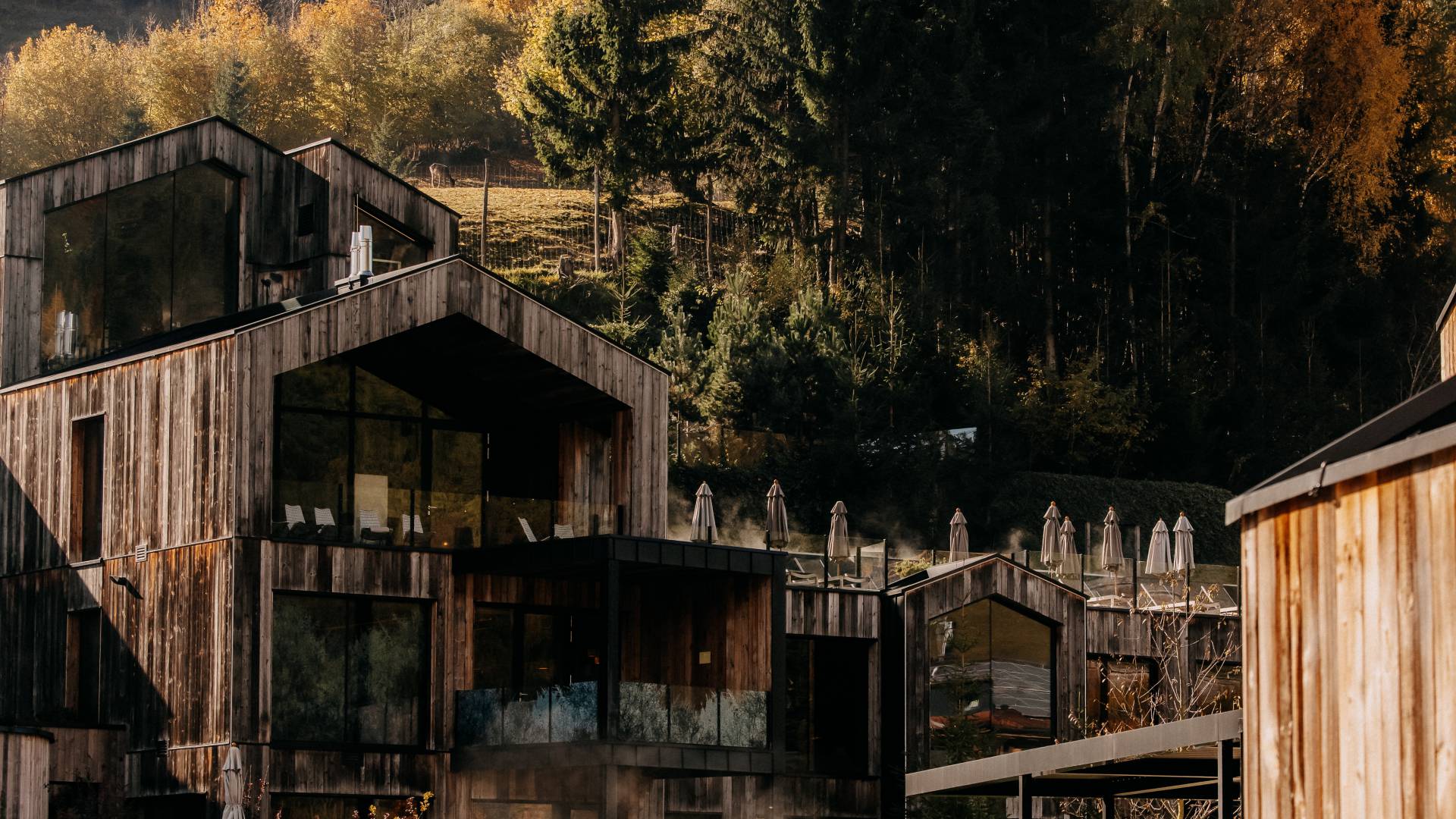 Außenbereich mit Pool im Naturhotel Forsthofgut in Leogang