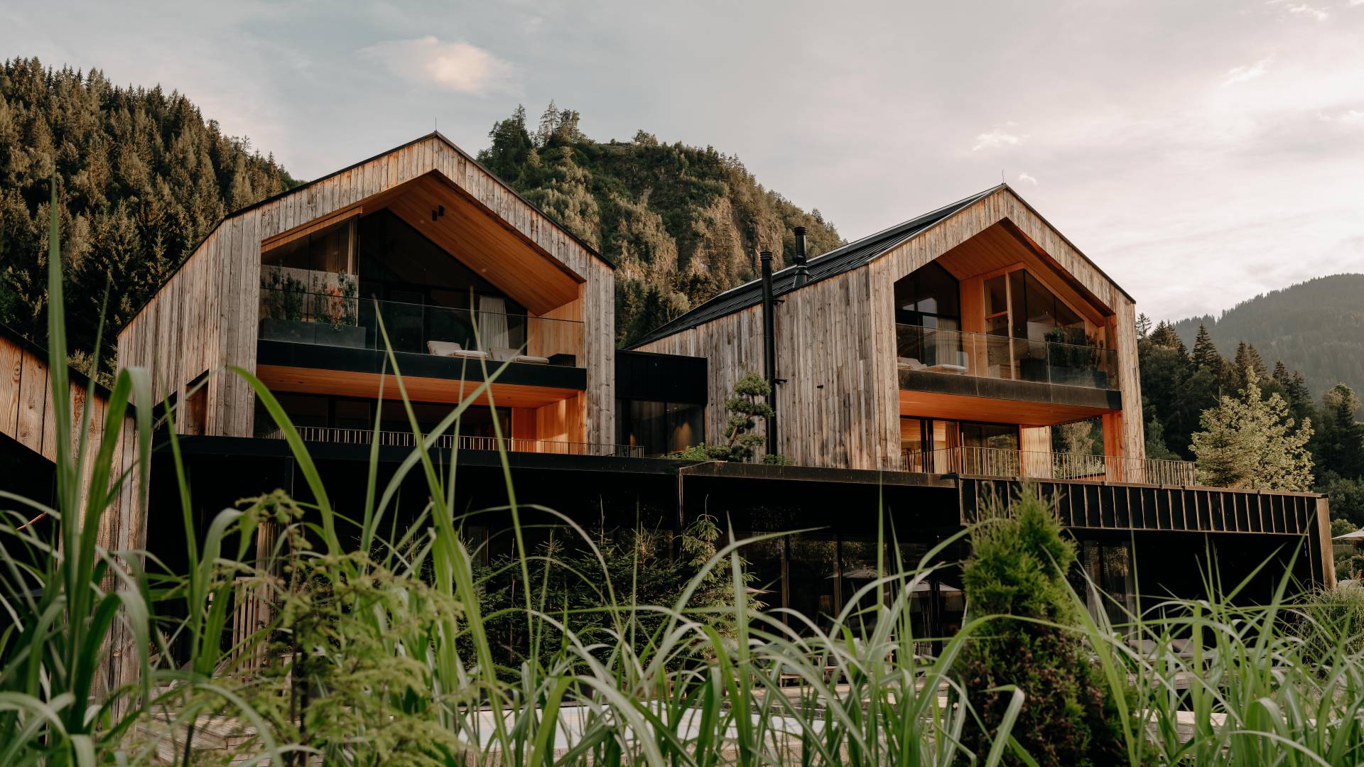 Gräser im sanften Sommerwind vor dem Seehaus des Forsthofguts.