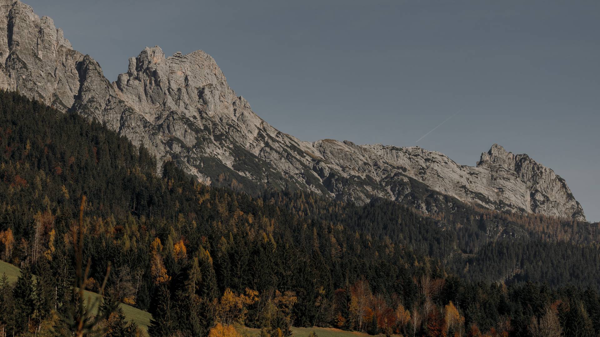 Weitläufige herbstliche Berglandschaft mit markanten Felsgipfeln und dichten Wäldern, deren Bäume in goldenen und grünen Farbtönen leuchten. Im Vordergrund erstrecken sich sanfte Wiesen, während der klare Himmel eine friedliche Atmosphäre in den österreichischen Alpen schafft.