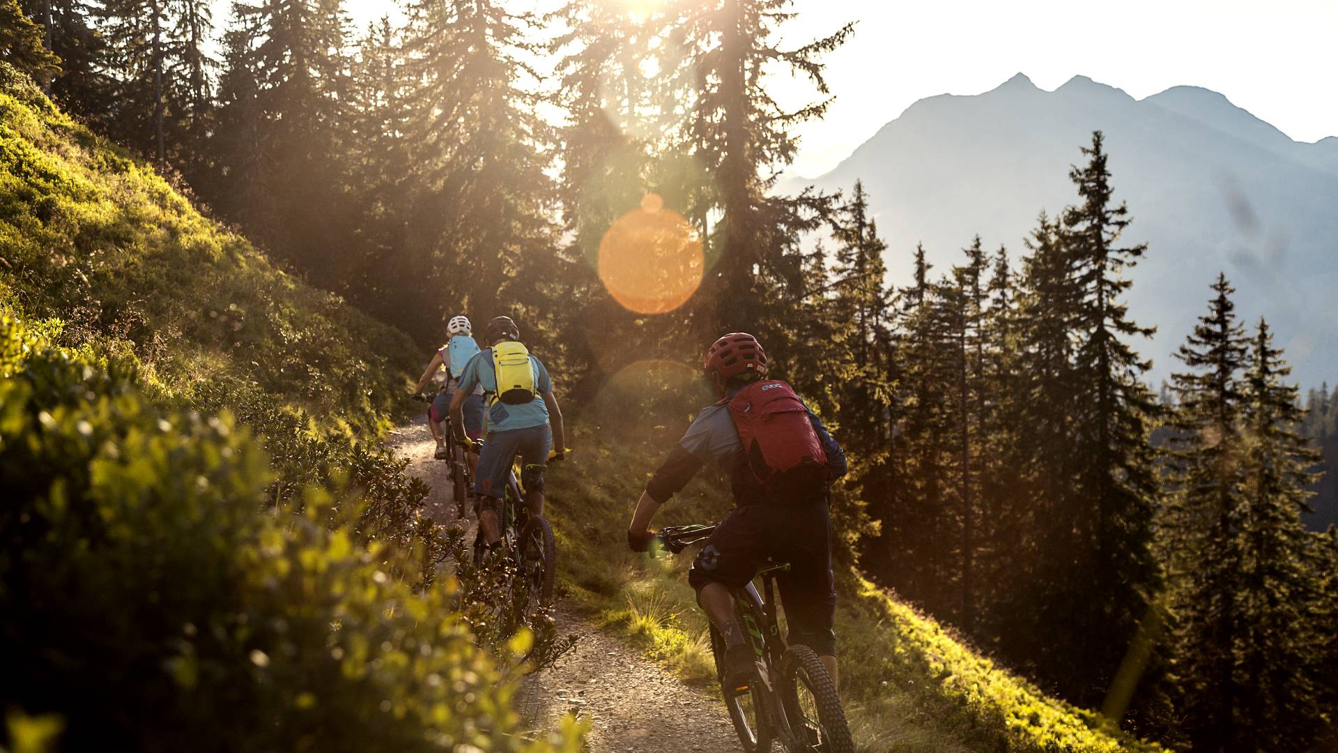 Mountainbike Wald Aktivurlaub Österreich Leogang Bikeurlaub Fahrradurlaub