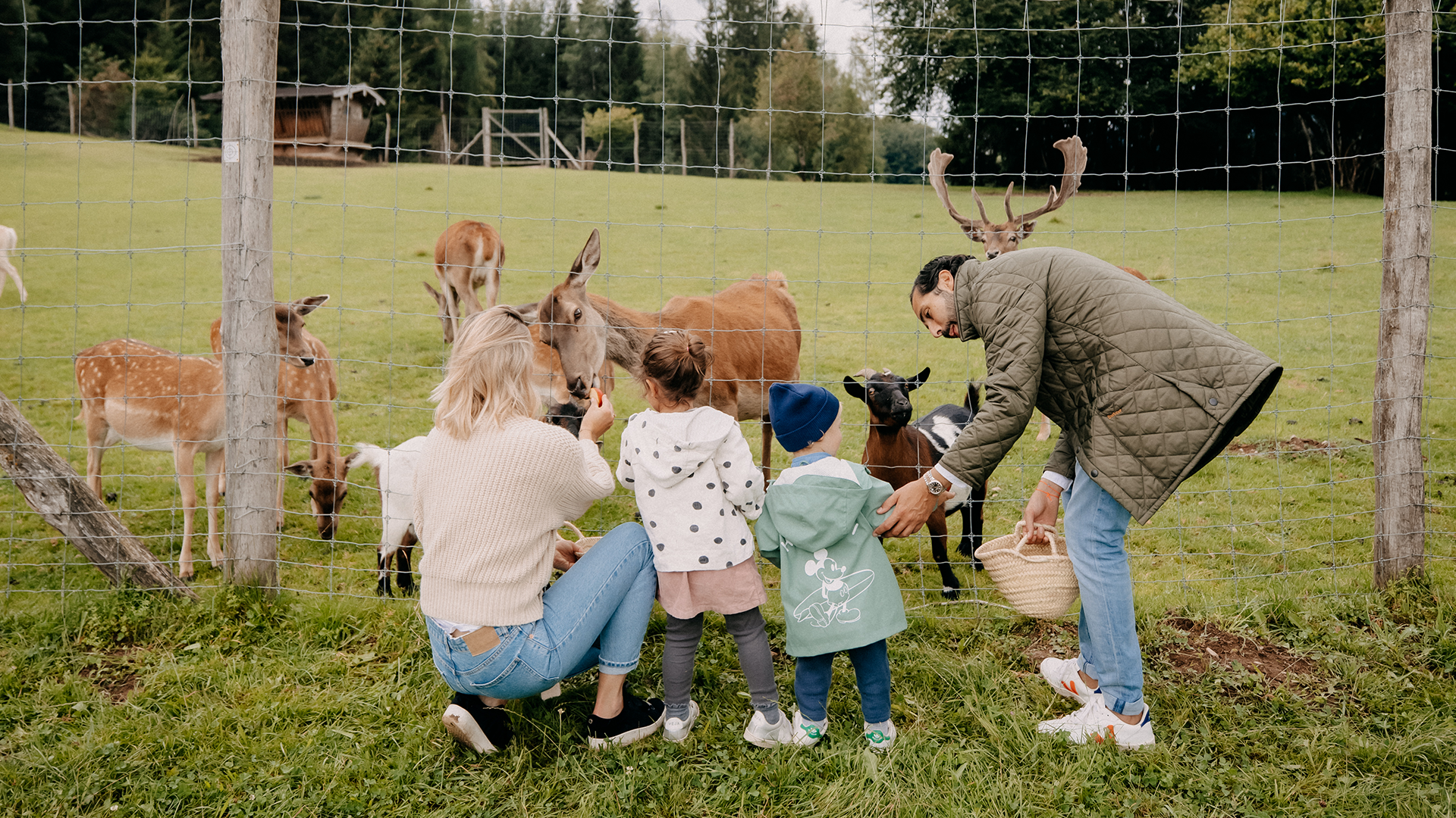 Family with children feeding deer at the Forsthofgut wildlife enclosure.