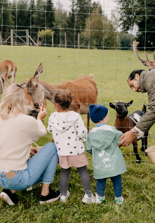Familie mit Kindern beim Füttern der Hirsche im Wildgehege des Forsthofguts.