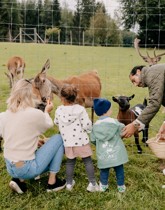 Familie mit Kindern beim Füttern der Hirsche im Wildgehege des Forsthofguts.