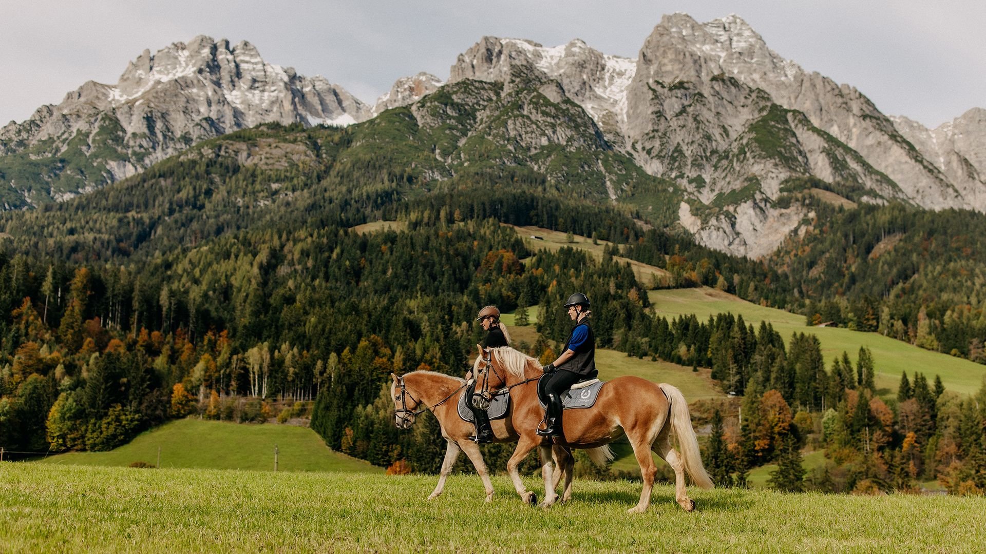 Two riders on Haflinger horses enjoying a trail ride through green meadows and the mountains in the background. 