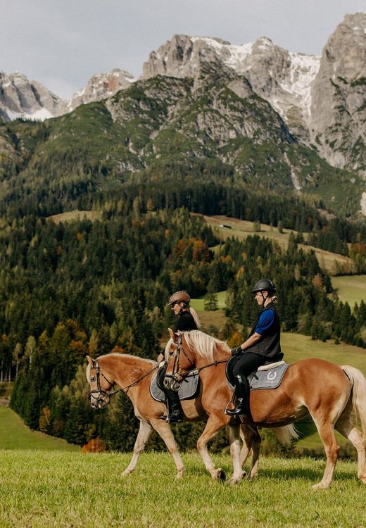 Two riders on Haflinger horses enjoying a trail ride through green meadows and the mountains in the background. 