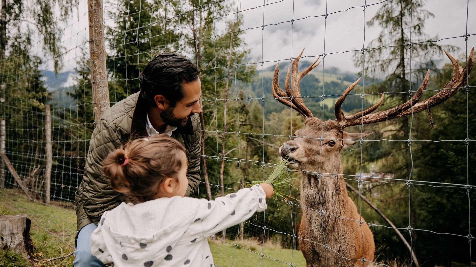Vater und Kind füttern gemeinsam einen Hirsch durch den Zaun mit frischem Gras, im Hintergrund Bäume und Berge.